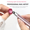 Cat Eye Magnetic Nail Art Tool Set