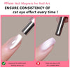 Cat Eye Magnetic Nail Art Tool Set