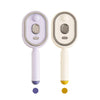 Electric Spray Hair Brush